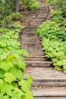 USA, Minnesota, Temperance River State Park. Winding wooden staircase in park. Art Print